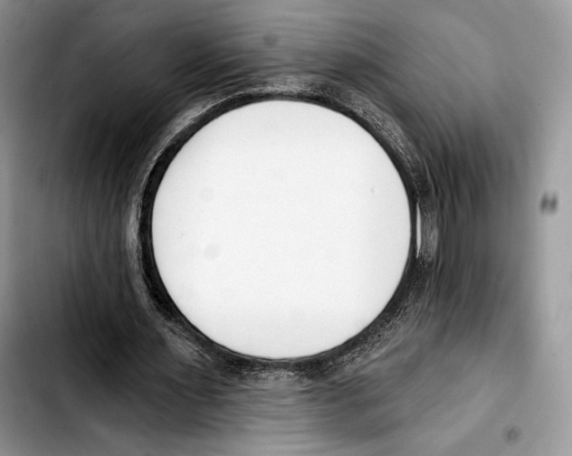X0000103420483200810101022