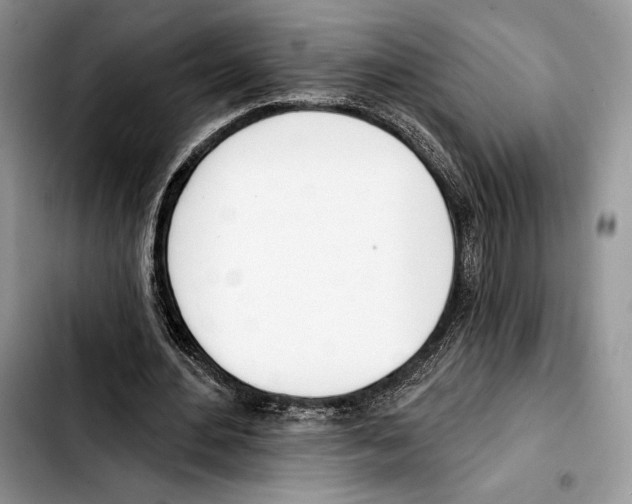 X0000103420484200810101022