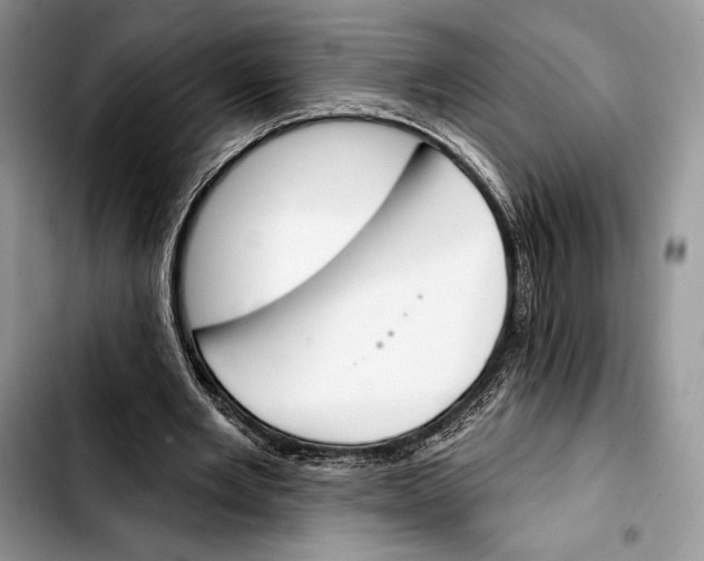 X0000103420485200810101022