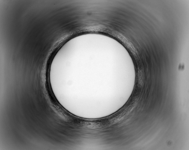 X0000103420486200810101022