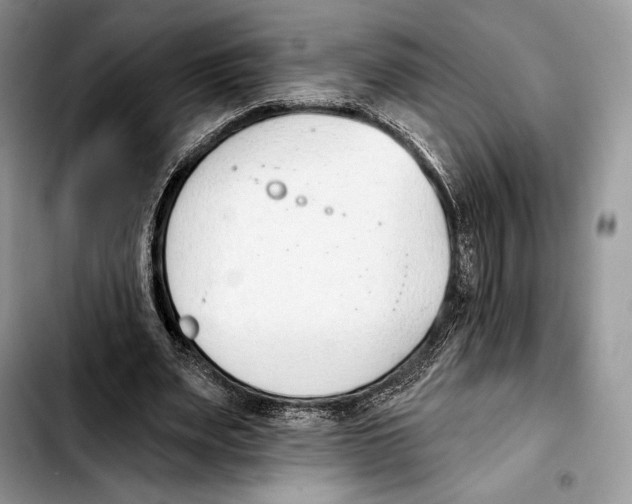 X0000103420487200810101022