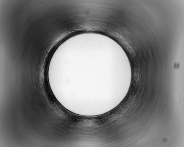 X0000103420488200810101022