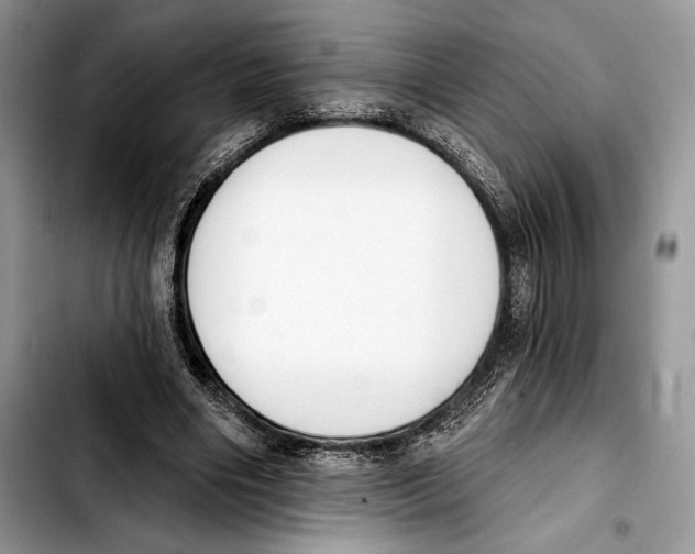 X0000103420490200810101022