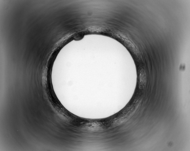 X0000103420492200810101022