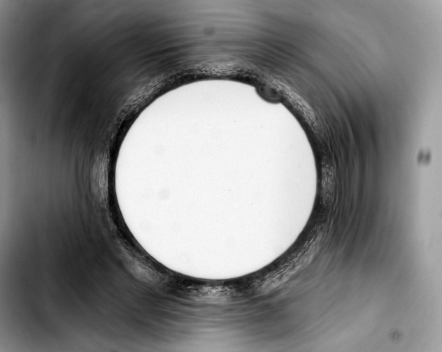 X0000103420493200810101022