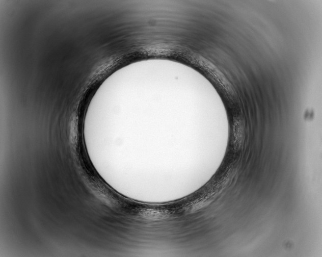 X0000103420494200810101022