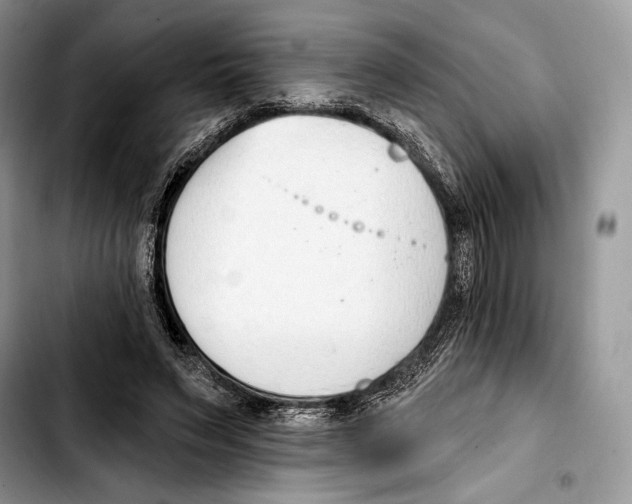 X0000103420495200810101022