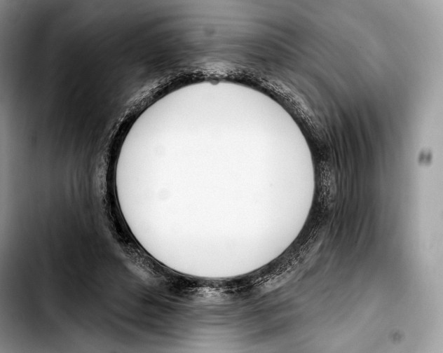 X0000103420496200810101022