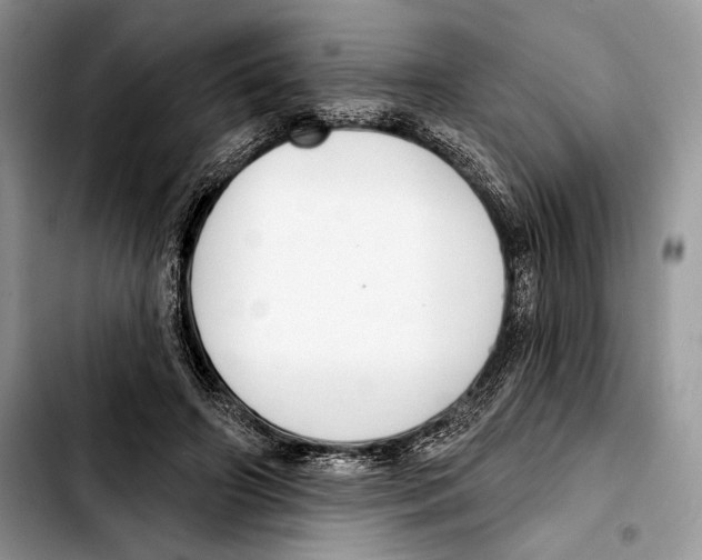 X0000103420498200810101022