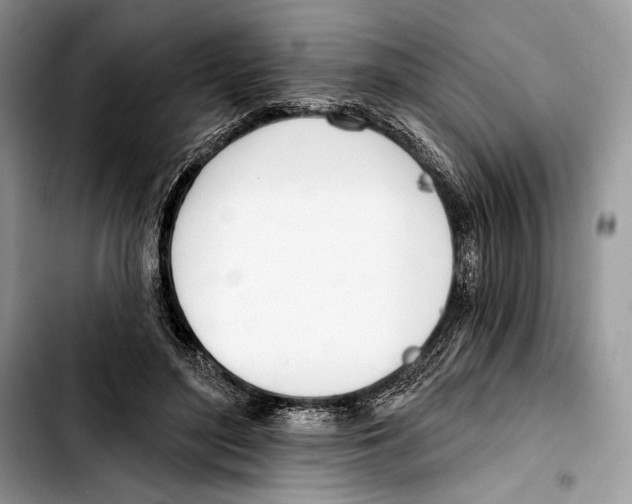 X0000103420500200810101022
