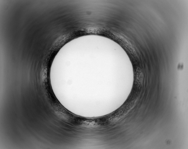 X0000103420502200810101022