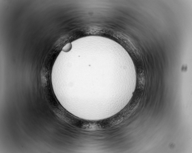 X0000103420503200810101022