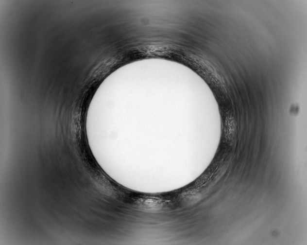 X0000103420506200810101022