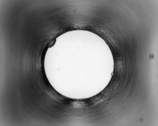 X0000103420508200810101022