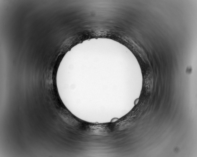 X0000103420516200810101022
