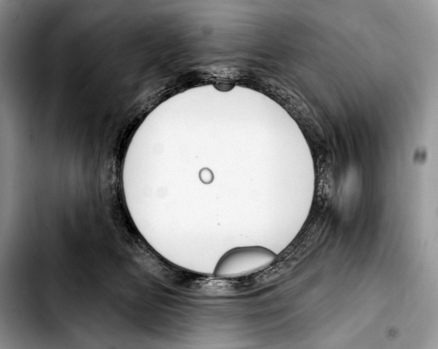 X0000103420518200810101022