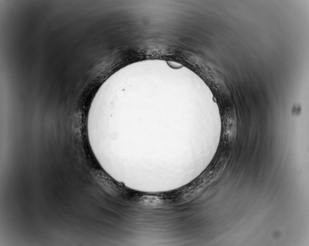 X0000103420519200810101022