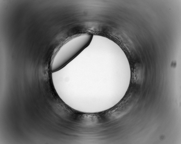 X0000103420520200810101022