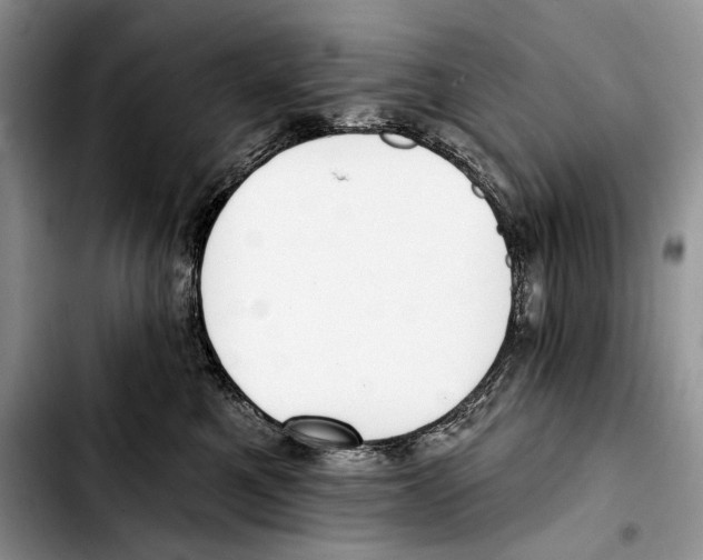 X0000103420521200810101022