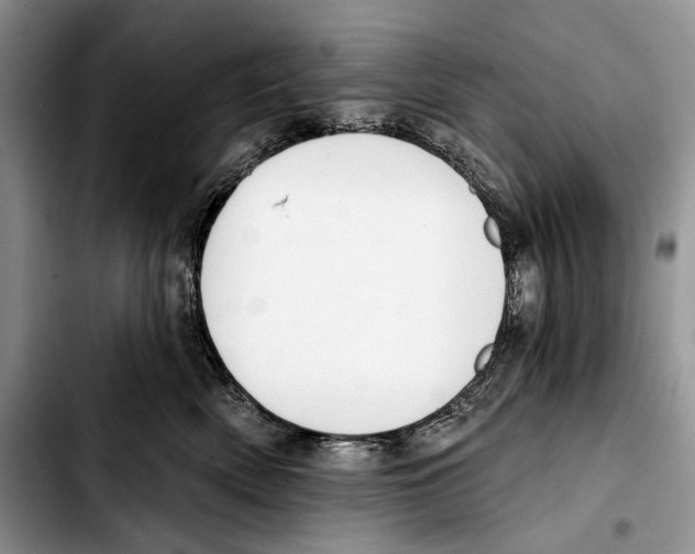 X0000103420522200810101022