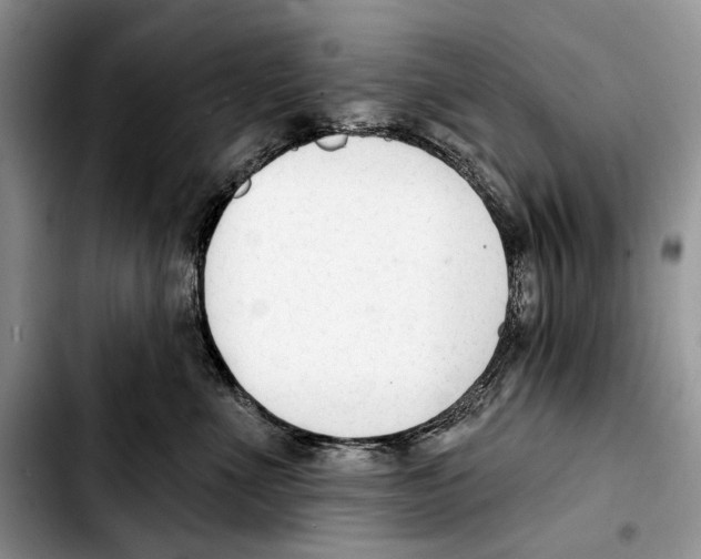 X0000103420523200810101022