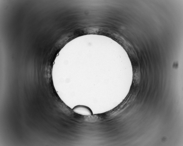 X0000103420525200810101022