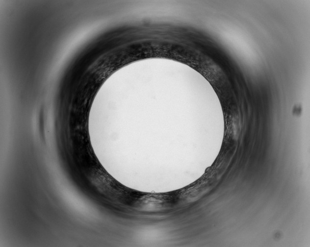 X0000103420526200810101022