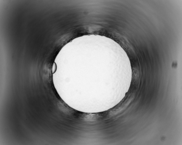 X0000103420527200810101022