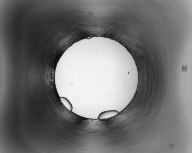 X0000103420528200810101022
