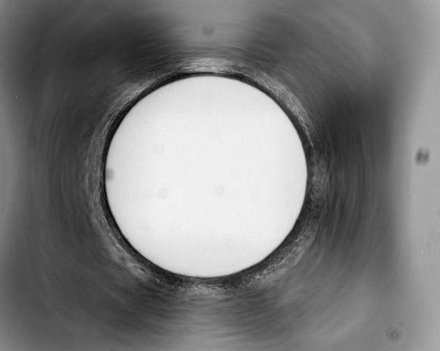 X0000103420529200810101021