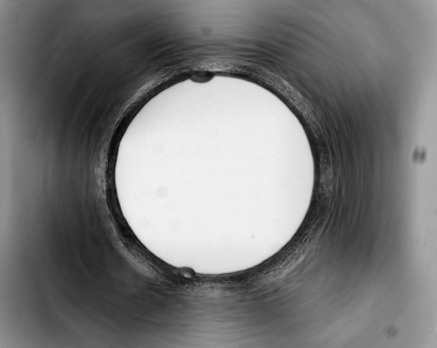 X0000103420530200810101021
