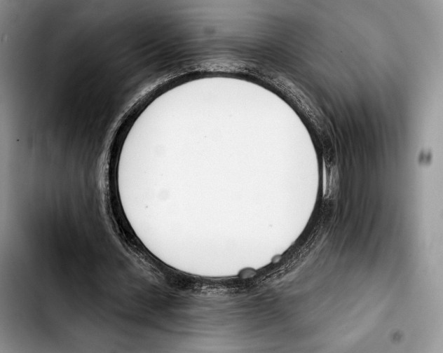 X0000103420531200810101021