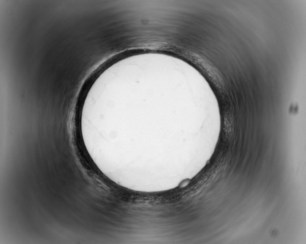 X0000103420532200810101021
