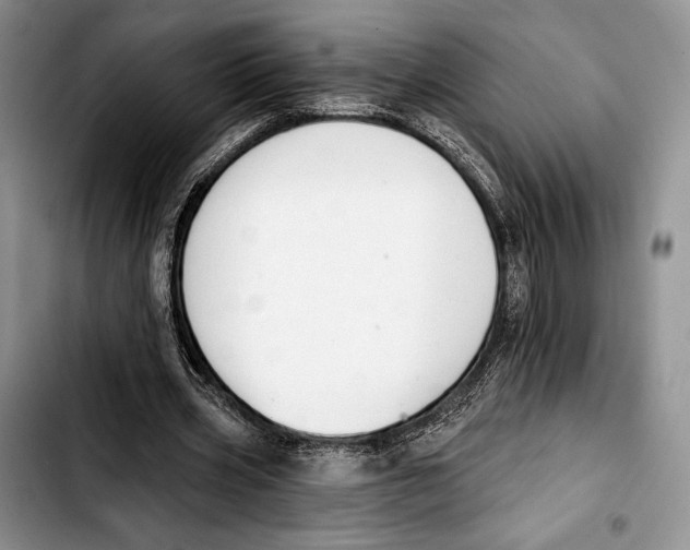 X0000103420533200810101021