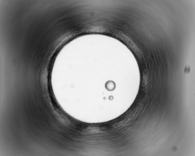 X0000103420534200810101021