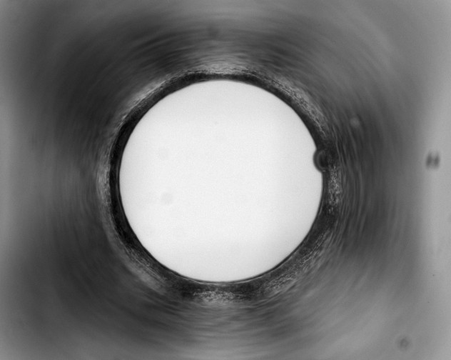 X0000103420535200810101021