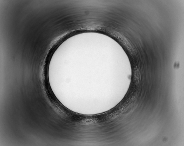 X0000103420536200810101021