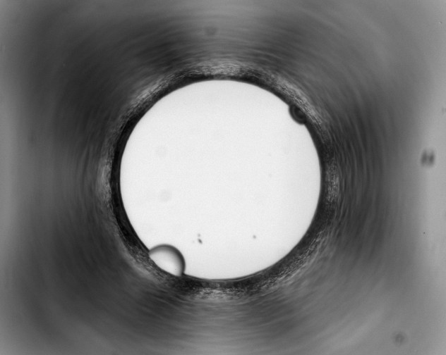 X0000103420538200810101021