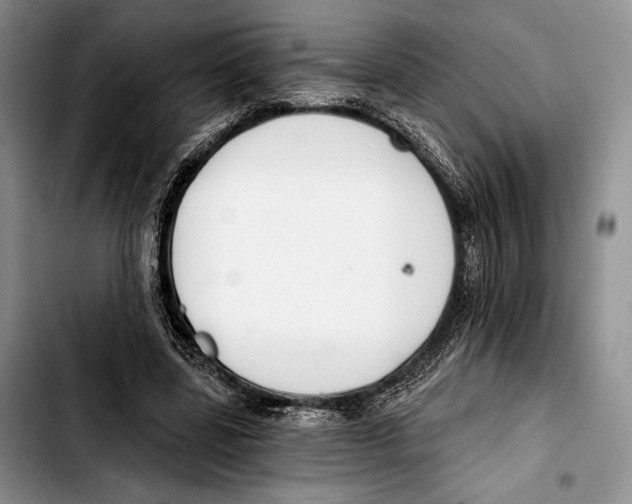 X0000103420539200810101021
