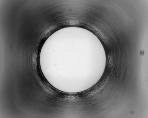 X0000103420542200810101021