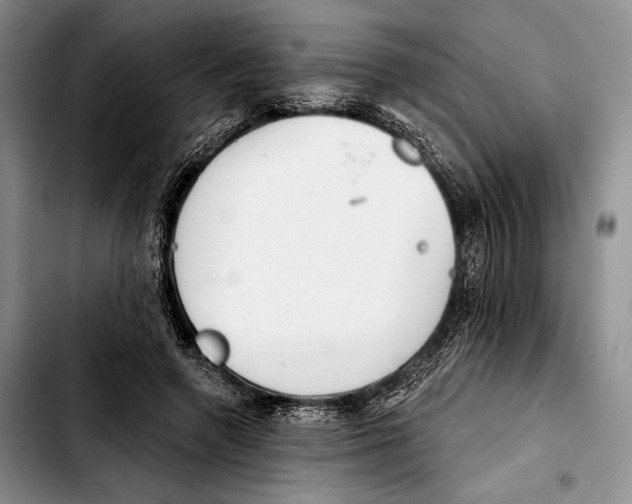 X0000103420546200810101021