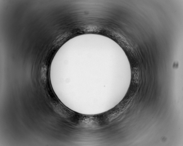 X0000103420550200810101021