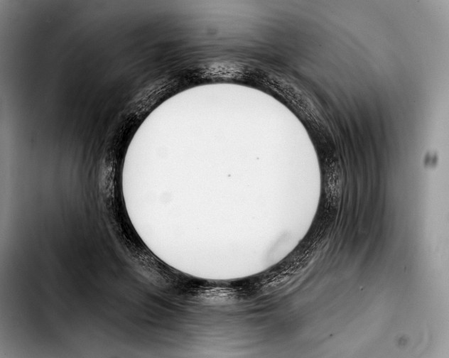 X0000103420551200810101021