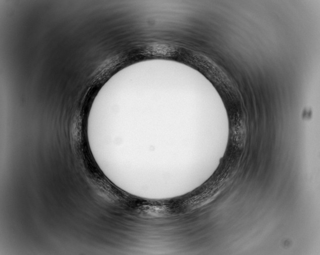 X0000103420552200810101021