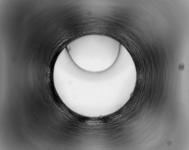 X0000103420556200810101021