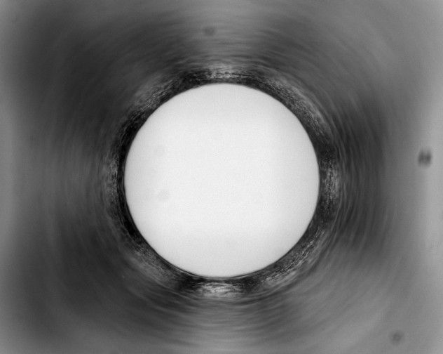 X0000103420557200810101021
