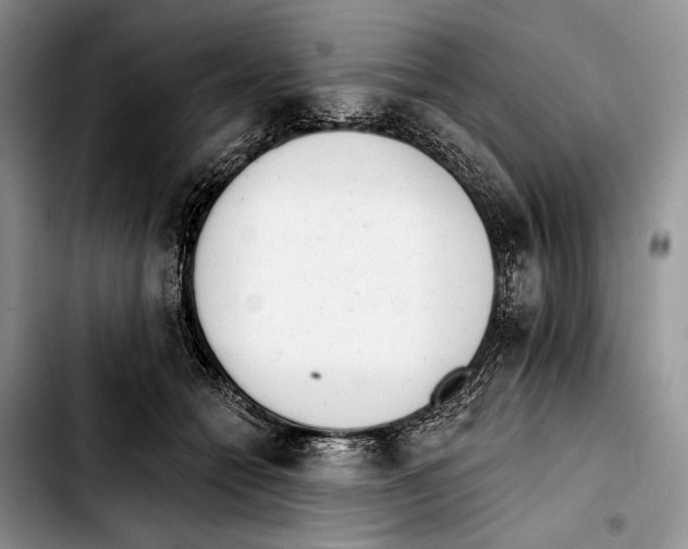 X0000103420558200810101021