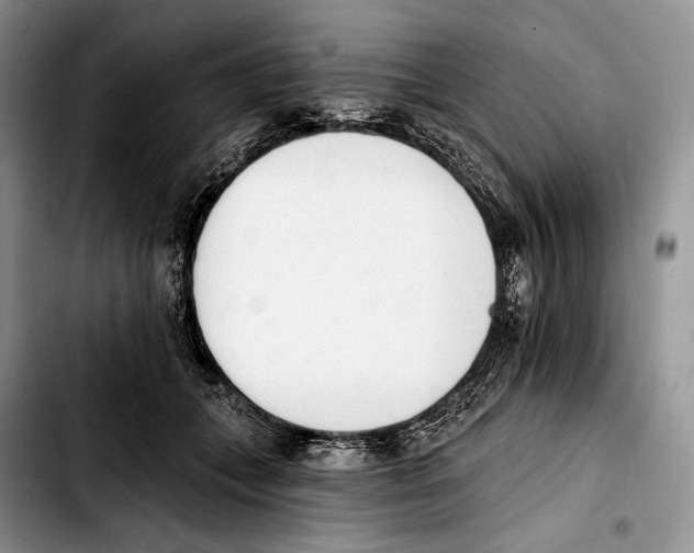 X0000103420559200810101021