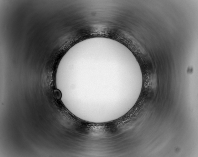 X0000103420560200810101021