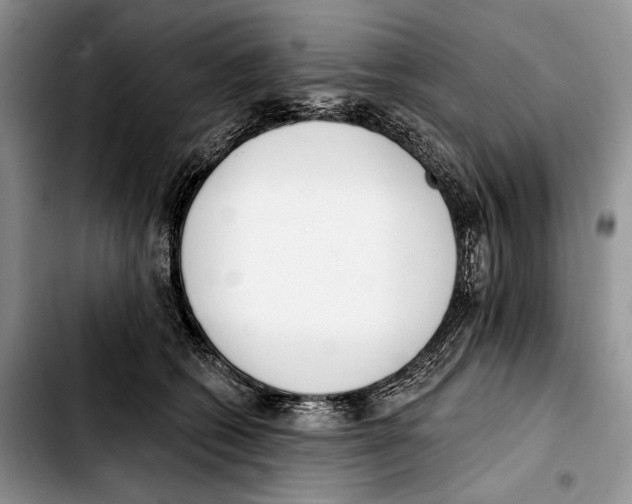 X0000103420562200810101021